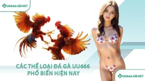 Các thể loại đá gà UU666 phổ biến hiện nay